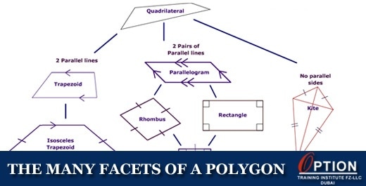 facts of polygon